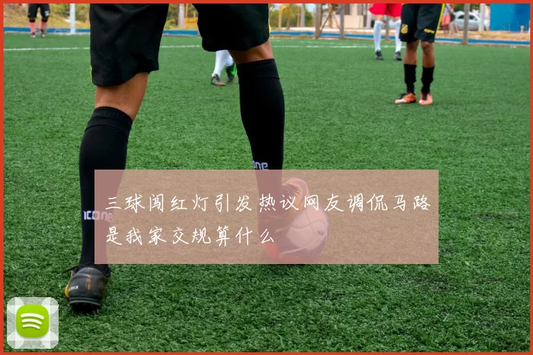 三球闯红灯引发热议网友调侃马路是我家交规算什么