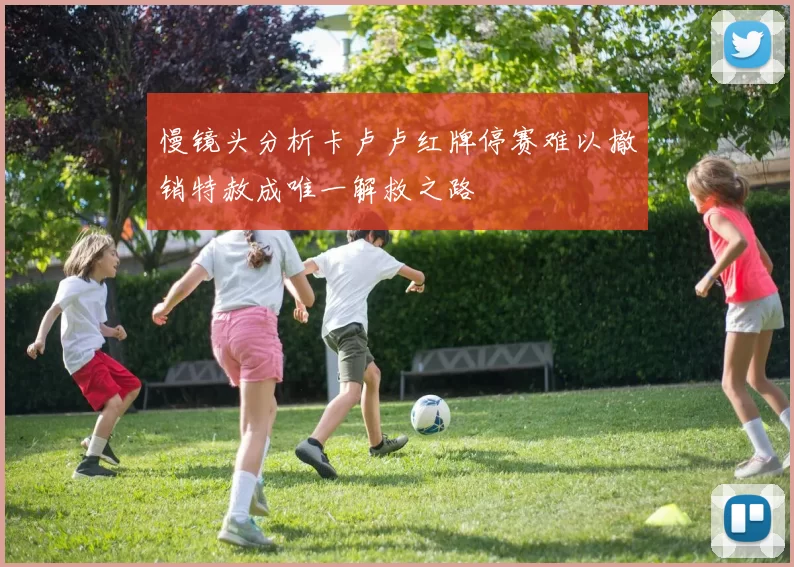 慢镜头分析卡卢卢红牌停赛难以撤销特赦成唯一解救之路