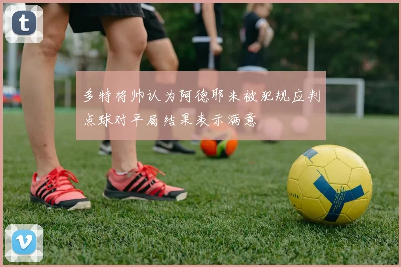 多特将帅认为阿德耶米被犯规应判点球对平局结果表示满意