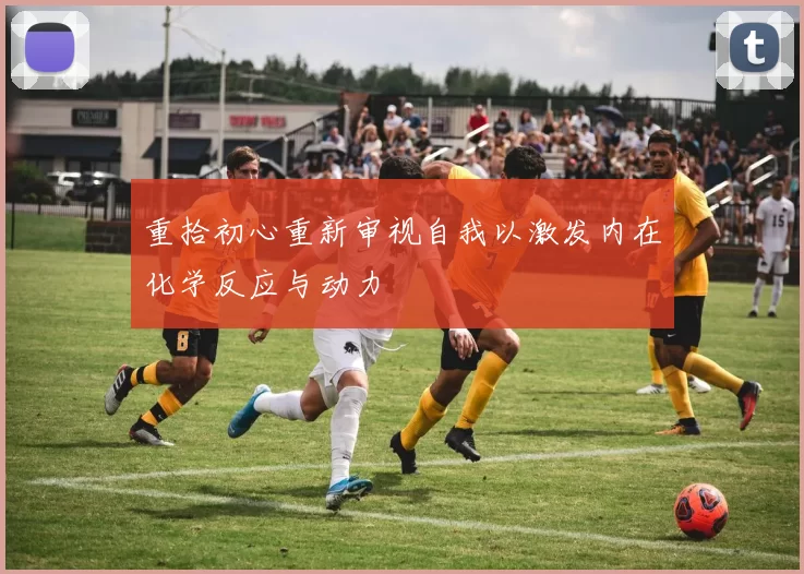 重拾初心重新审视自我以激发内在化学反应与动力